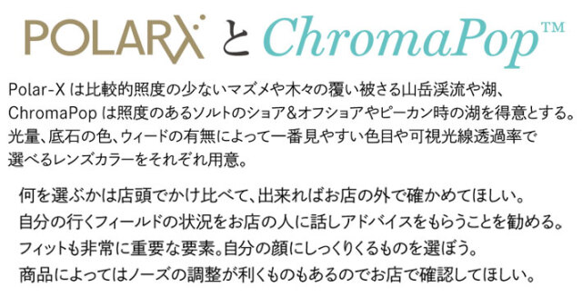 SMITH スミス サングラス 釣り [Pinpoint ピンポイント] ACTION POLAR