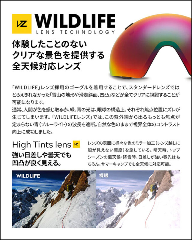 25-26 VONZIPPER ゴーグル ボンジッパー CLEAVER クリーバー BF21M-709