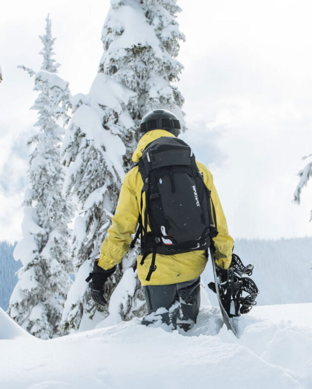 現品限り] DAKINE ダカイン POACHER 40L スノーボード バック 