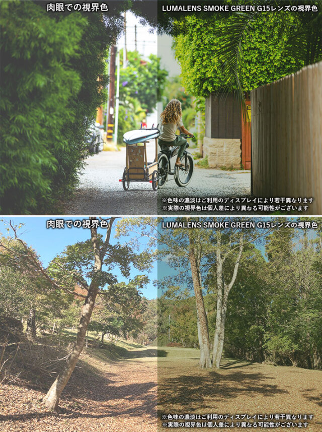 DRAGON サングラス ドラゴン BILLIE ビリー [6] ユニセックス LUMALENS