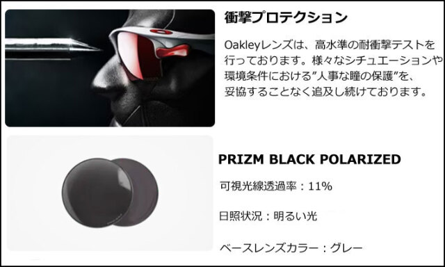 OAKLEY オークリー サングラス STUNT DEVIL 9517-0239 スタント デビル