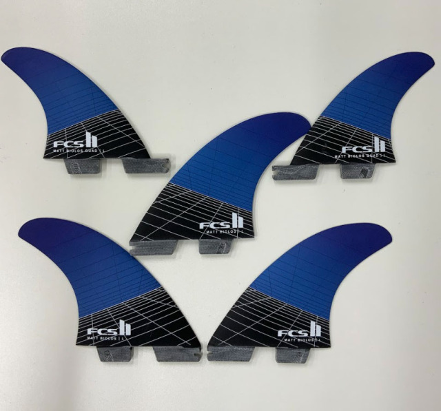FCS2 FIN Matt Biolos