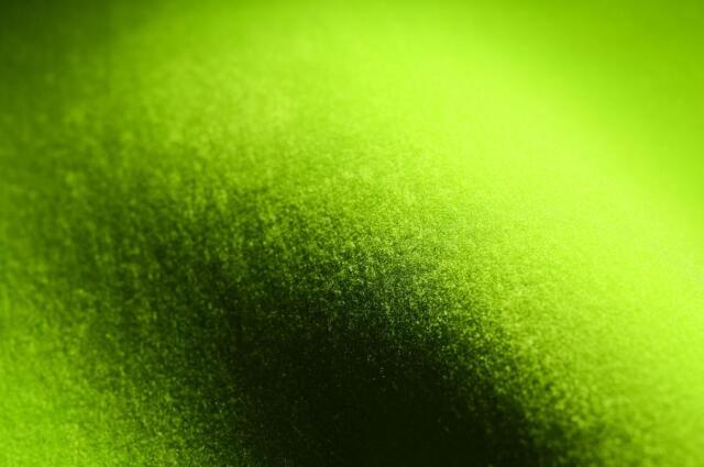 2025 MAGIC マジック 冬用 サーフキャップ 1.8mm Prime α FLEXFIT CAP