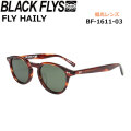 BLACK FLYS サングラス [BF-1611-03] ブラックフライ FLY HAILY フライ ヘイリー POLARIZED LENS 偏光レンズ 偏光 ジャパンフィット