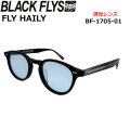 BLACK FLYS サングラス [BF-1705-01] ブラックフライ FLY HAILY フライ ヘイリー PHOTOCHROMIC LENS 調光レンズ 調光 ジャパンフィット 