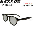 BLACK FLYS サングラス [BF-1705-02] ブラックフライ FLY HAILY フライ ヘイリー PHOTOCHROMIC LENS 調光レンズ 調光 ジャパンフィット 