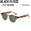 [即日出荷] BLACK FLYS ブラックフライ サングラス [BF-1324-04] FLY NOAM フライ ノーム [HAVANA CLEAR／BEIGE GREEN]  ジャパンフィット