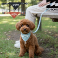26 ドッグウエア 犬用 首輪＆リードセット サーフブランド ビラボン 小型犬 BILLABONG ARCH LOGO DOG [メール便発送商品] 