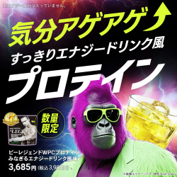 ビーレジェンド WPCプロテイン みなぎるエナジードリンク風味【1kg】