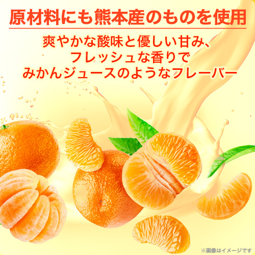 ビーレジェンド WPCプロテイン くまモンバージョン みかん風味【1kg】