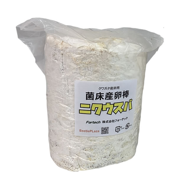 菌床産卵棒【ニクウスバ】