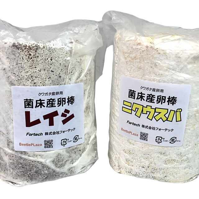 菌床産卵棒【レイシ】【ニクウスバ】