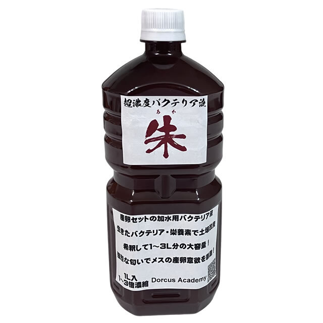 [Dorcus Academy]　超濃度バクテリア液【朱】