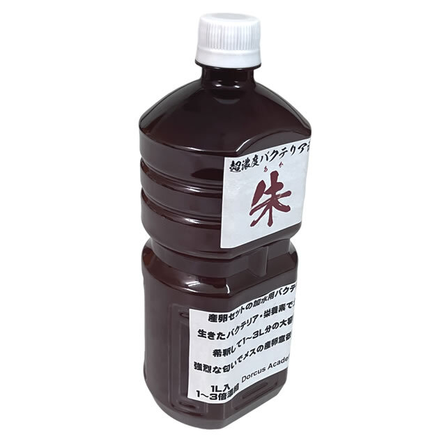 Dorcus Academy] 超濃度バクテリア液【朱】