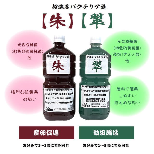 [Dorcus Academy]　超濃度バクテリア液【朱】【翠】