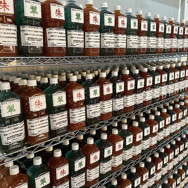 [Dorcus Academy]　超濃度バクテリア液【朱】【翠】