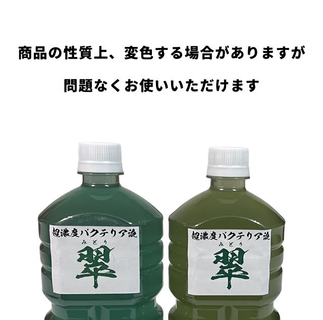 [Dorcus Academy]　超濃度バクテリア液【翠】