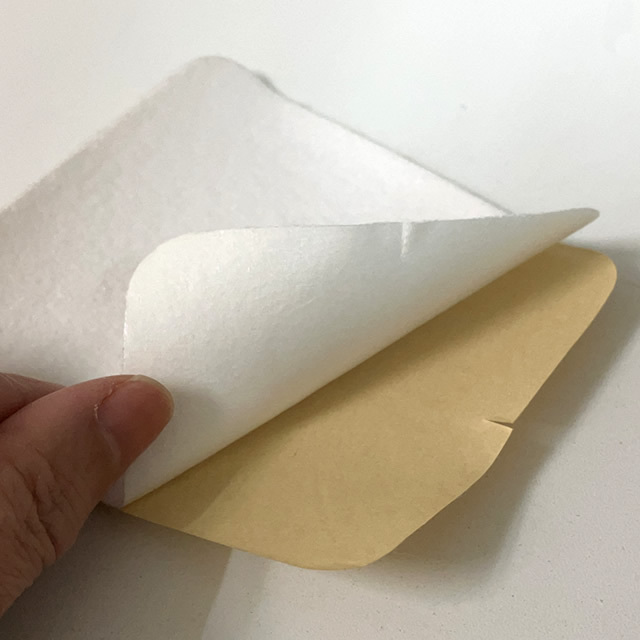 人工蛹室DSPC 透明PETタイプ【大】