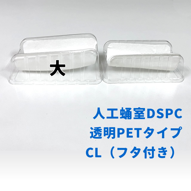 No.8 ハイスクールD×D 切り抜き ラミネート 人工蛹室DSPC 透明PETタイプCL【大】（フタ付き）