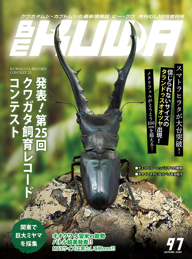BE KUWA 昆虫雑誌 セット 50号〜59号 ビークワ59号（BE・KUWA） 薩摩のクワガタムシ大特集!!