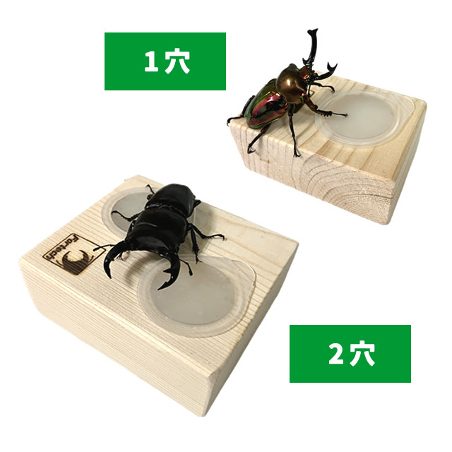 石木文　てふてふ　皿 密買東京｜石木さんの虫食い皿｜商品詳細（石木さんの虫食い皿