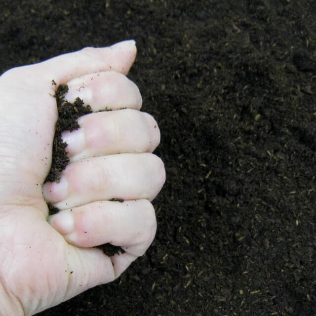 日本産カブト飼育マット　カブト１番JB　