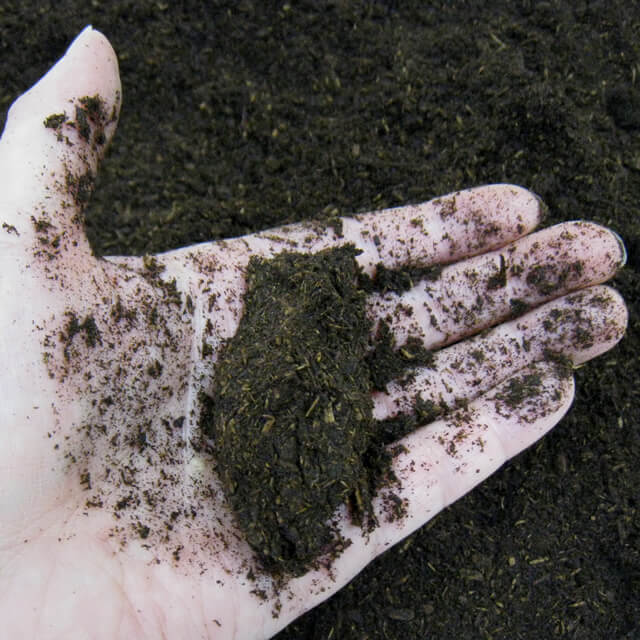 日本産カブト飼育マット　カブト１番JB　