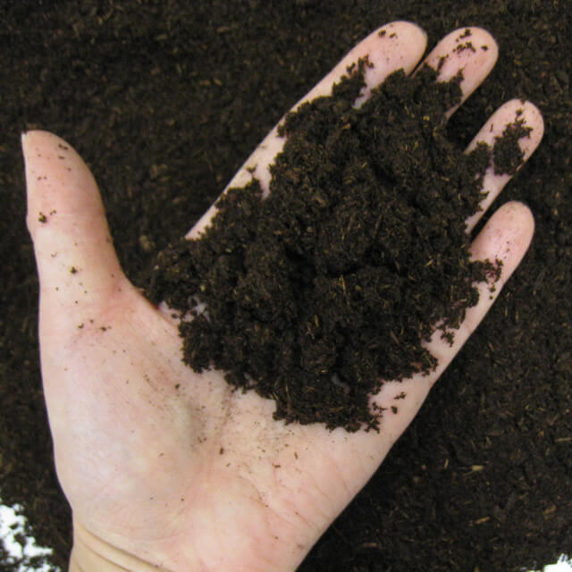 日本産カブト飼育マット　カブト１番JB　