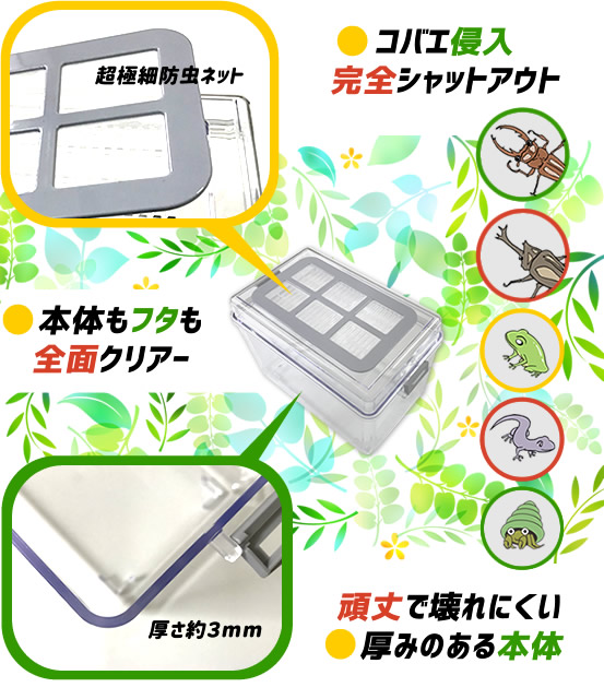 ヤマイネ] B・Box（ビー・ボックス）