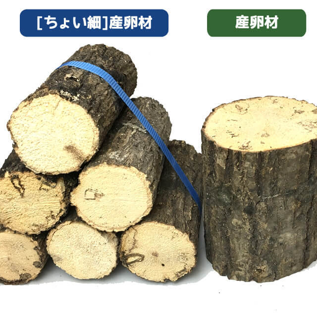 ちょい細] 産卵材6本セット【クヌギ】