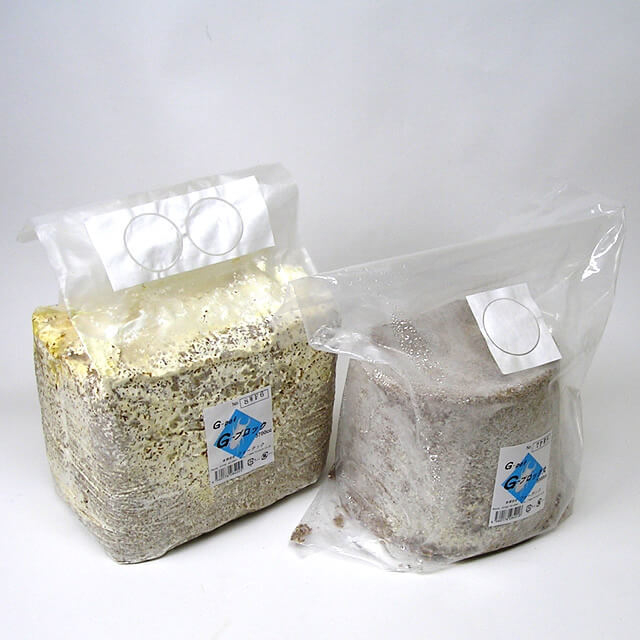 詰替用菌床　G-ブロック