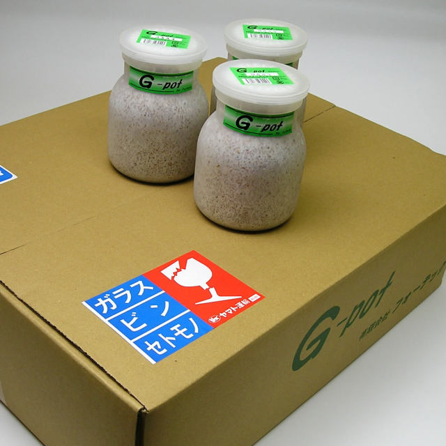 クワガタ幼虫飼育用菌糸ビン　G-pot 550cc