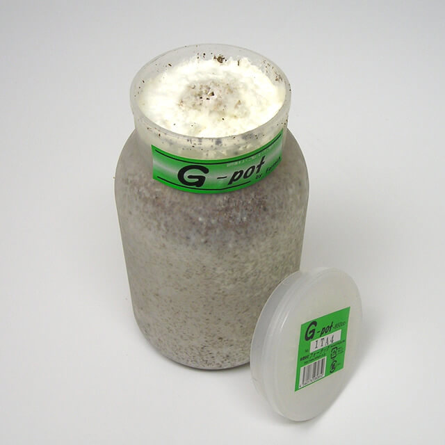クワガタ幼虫飼育用菌糸ビン　G-pot850cc