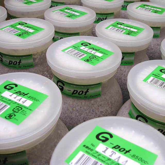 クワガタ幼虫飼育用菌糸ビン　G-pot850cc