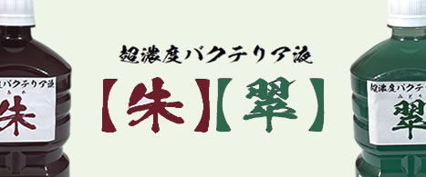 [Dorcus Academy]　超濃度バクテリア液【朱】【翠】