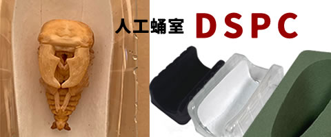 人工蛹室DSPC