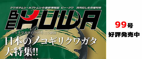 BE-KUWA No.99  日本のノコギリクワガタ大特集！！