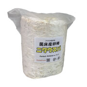 菌床産卵棒【ニクウスバ】