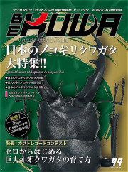 BE-KUWA No.99  日本のノコギリクワガタ大特集！！
