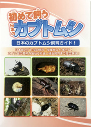 はじめて飼う日本のカブトムシ