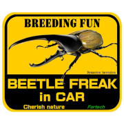 【Fortechオリジナルステッカー】　BEETLE FREAK in CAR　