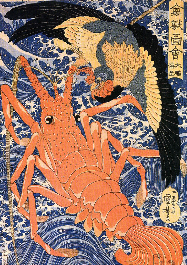 UK018　【歌川国芳】　禽獣図会・大鵬海老　 タイプC　W210mm×H297mm