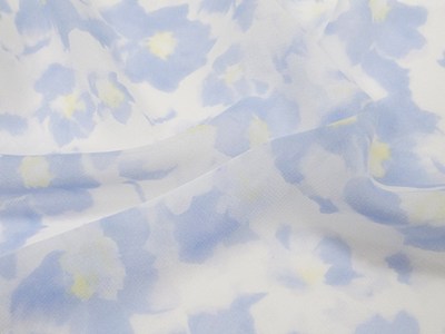 ペールフラワーシフォン（ライトブルー） メイン4:3