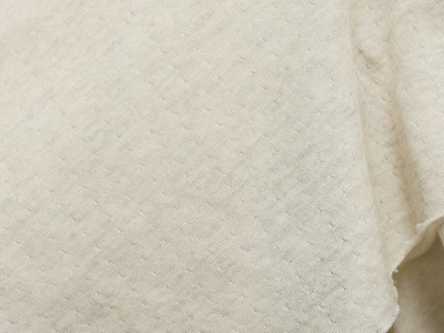 ソフトダブルジャージー（アイボリー） メイン