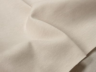 C.中厚手天竺（エクリュ） メイン