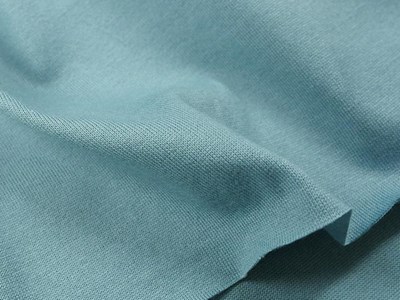 C.中厚手天竺（アイスグリーン） メイン