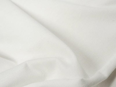 C.中厚手天竺（ホワイト） メイン