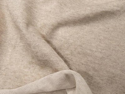 リネンプレーティング天竺（ナチュラル） メイン4:3