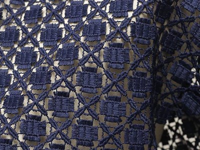 幾何柄ケミカルレース（ネイビー） メイン