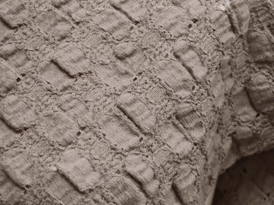 ストレッチコットンレース（ブロンド） メイン